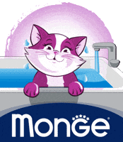 Pet Cane GIF by Mongepet