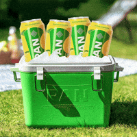 GIF by Pan pivo