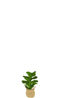 Plant Sticker by HGTV Canada