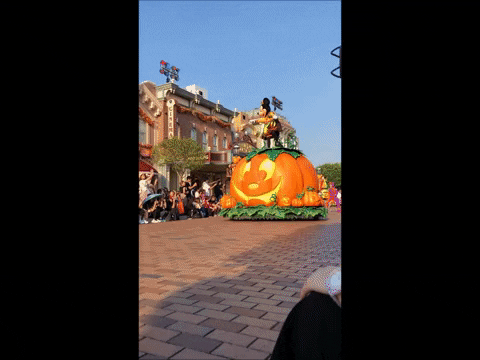 lesleywake giphygifmaker GIF