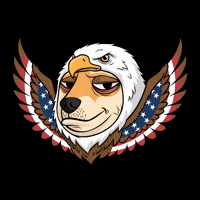 Tired Shiba Inu GIF by Doge Pound