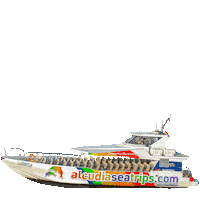 Book Now Sticker by AlcudiaSeaTrips
