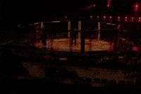 Mma GIF by Caged Steel