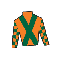 Horse Racing Sticker by Kentucky Derby