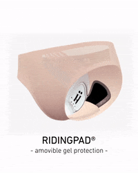 HASTKO horse cheval activewear horse riding GIF