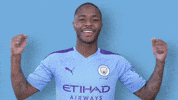 Premier League Football GIF by Manchester City