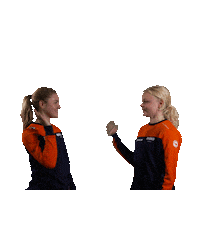 Teamnl Speedskating Sticker by Shapevisions