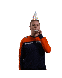 Bday Teamnl Sticker by Shapevisions