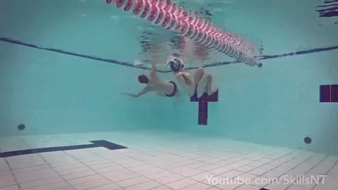 skillsnt giphygifmaker GIF