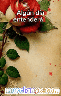 Amigos Flores GIF by Murcianys LLC