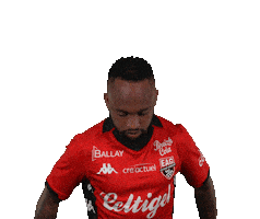 South Africa Football Sticker by EA Guingamp