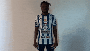 Tejuroqueteamo Elunicoenmicorazon GIF by Club Pachuca Tuzos