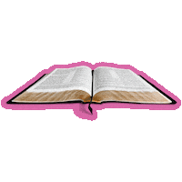 Bible Study Sticker by The Tent Peg Collective