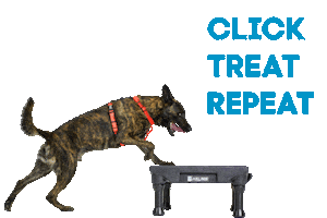 Dog Trainer Sticker by Blue9PetProducts