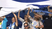 World Rugby Sport GIF by Rugby World Cup