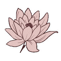 Bloom Caba Sticker by Patser.Life