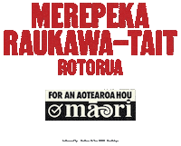 Maori Aotearoa Sticker by MāoriParty