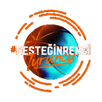 Basketball Ball Sticker by ING Turkiye