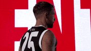 afl saints GIF by St Kilda Football Club