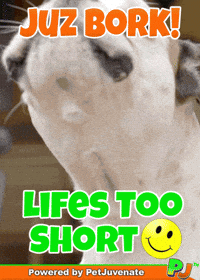 Dog Talk GIF by PetJuvenate - PJ