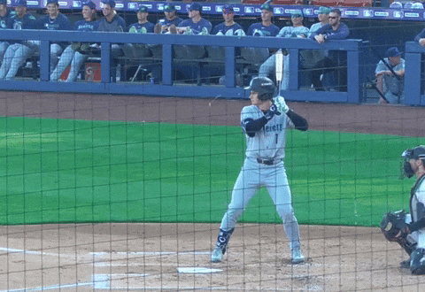 aramleighton8 giphyupload GIF