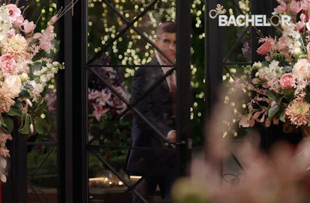 Thebachelor GIF by The Bachelor Australia