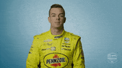 Scott Mclaughlin No GIF by INDYCAR