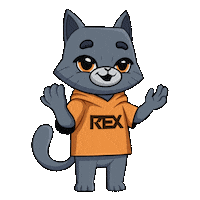 Rexex cat exchange cripto rexex Sticker
