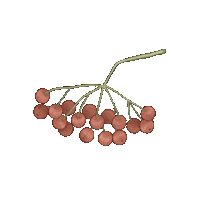 suisigart ukraine symbol berry україна Sticker
