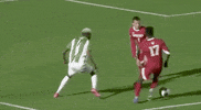 Sport Mar GIF by NCAA Championships