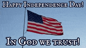 United States Usa GIF