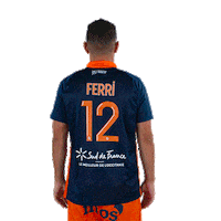 Ferri Sticker by MHSC