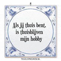 Humor Nl GIF by Tegelspreuken.nl