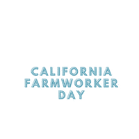 Vine Pole Sticker by West Coast Tomato Growers Inc.