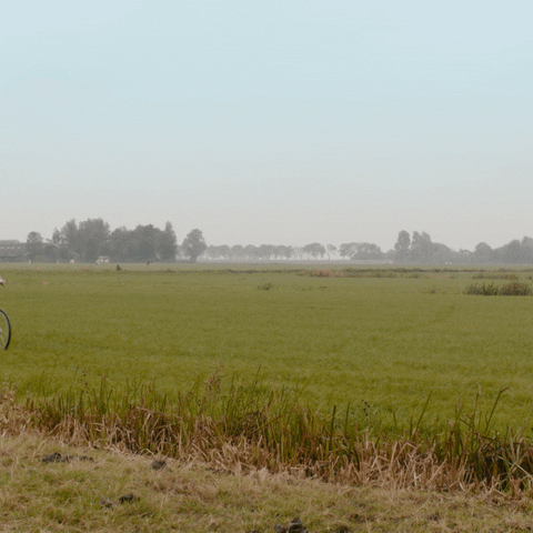 Bike Trip GIF by VPRO