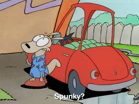 rockos modern life nicksplat GIF