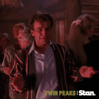 twin peaks s1 GIF by Stan.
