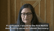 Deb Haaland Confirmation Hearing GIF by GIPHY News