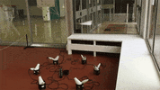 GIF by Digg