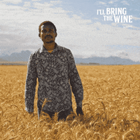 Ice Cream Wine GIF by Nederburg