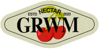 nectarthelabel fun stickers fruit cherry Sticker