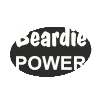 Bearded Collie Sheepdog Sticker by Hundesport Nubi