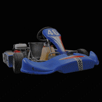 circuitparkberghem racing kart karting karten GIF
