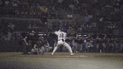 Home Run Baseball GIF by LSU Tigers