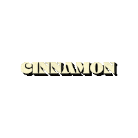 Cinnamon Sticker by Tubi