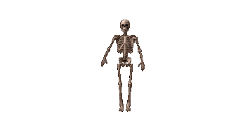 Can You See Me Hello Sticker by TeamKrikey