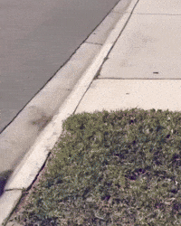Man Falling GIF