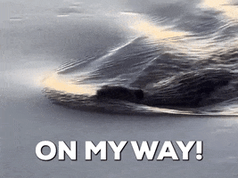 On My Way Swimming GIF by Storyful
