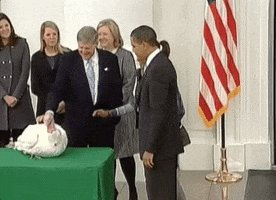 excited barack obama GIF by Obama