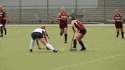 GIF by Temple Owls